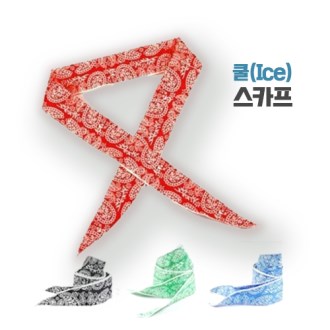 �� ���̽� ��ī��