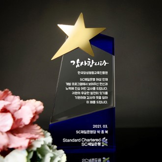 ������ �û� ȸ�� �ټ� ���� ũ����Ż ���� art 304 G